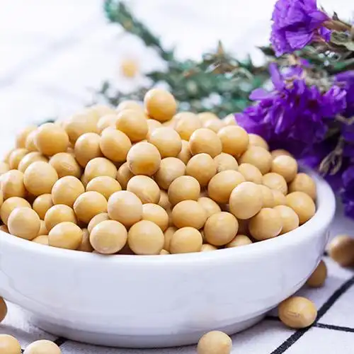 五谷宣言黑龙江黄豆1斤500g豆浆粗粮杂粮东北黄豆