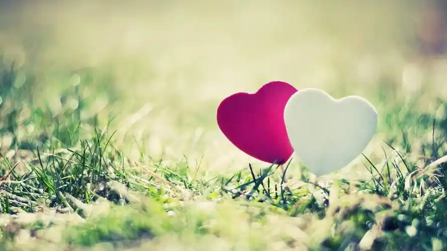 10张1080p全高清情侣电脑壁纸一对下载 清新唯美甜蜜