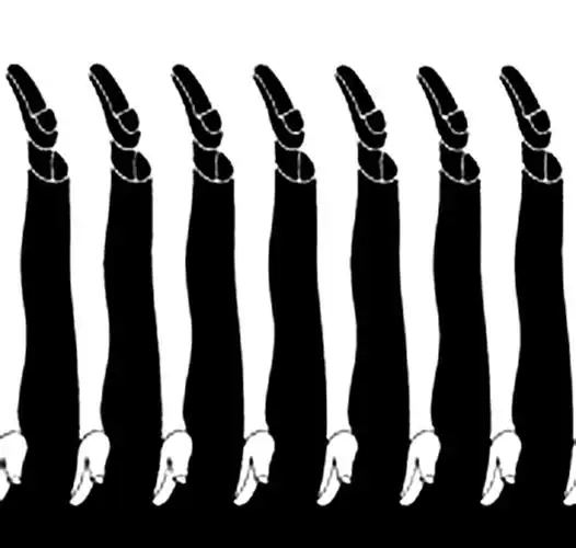 请问这种平面构成叫什么?