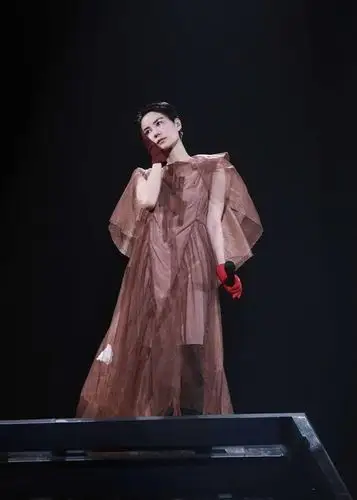《幻乐一场》百变造型大盘点看完了这次王菲演唱会的造型,再看看以往