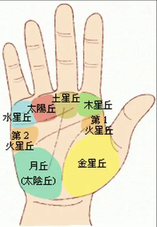 秒懂手相:从月丘看冒险精神