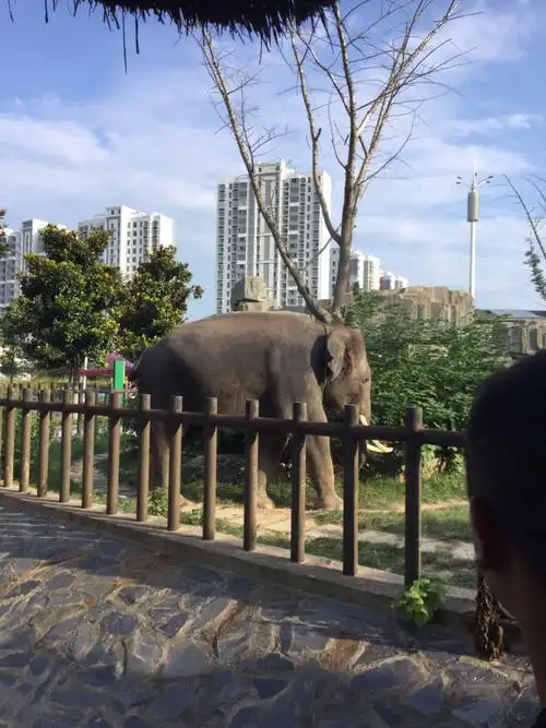 淮安动物园一行