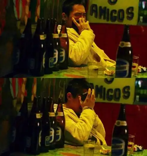 自截.勿转.《春光乍泄》