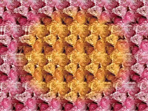 几张神奇的裸眼3d图