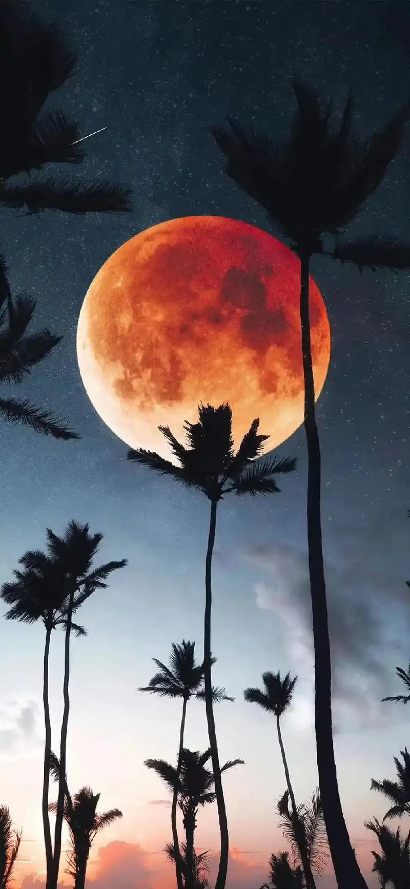 借来的图片,确实好看 - 抖音