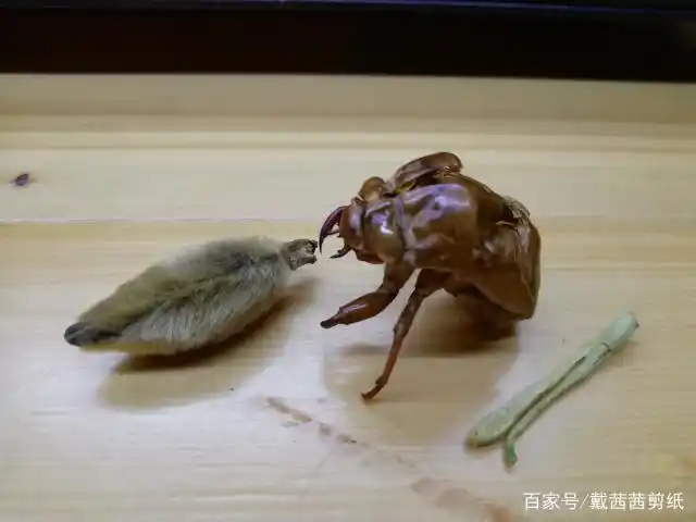 面塑大师李宏超的中药毛猴艺术品