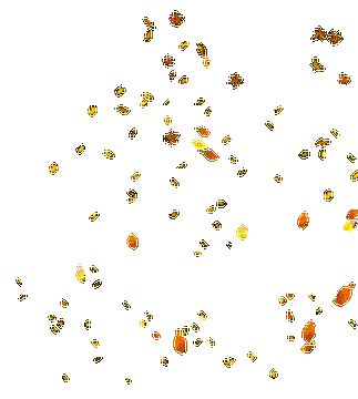 飘落.雨雪等gif格式素材