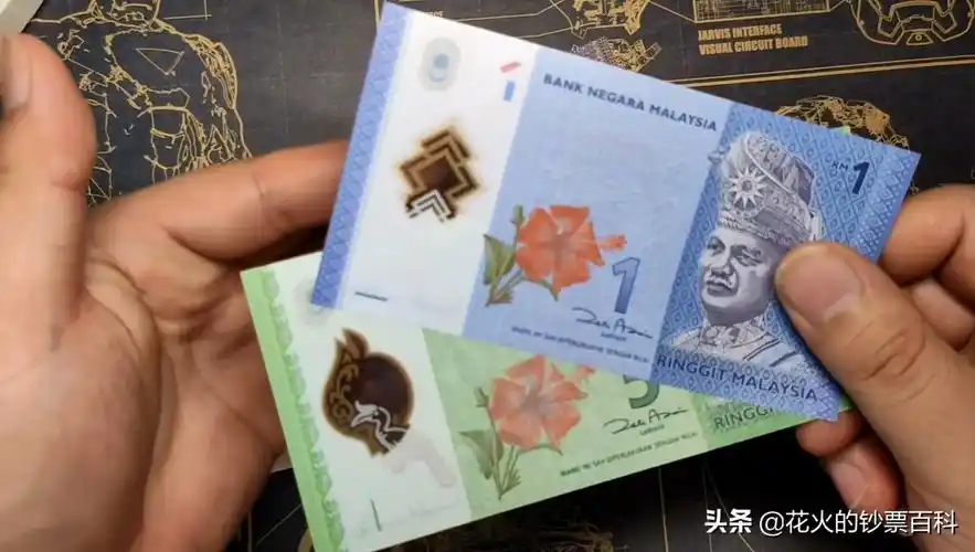 带你看看马来西亚的钞票,大红大紫的还挺好看