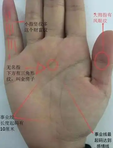 掌色要偏白,次点也要粉红,手掌丰厚,纹路颜色粉红,一个比较好的手相