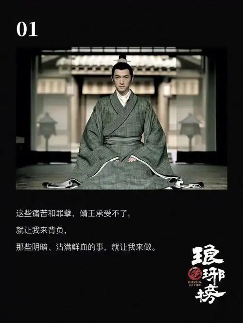 影视琅琊榜内地高分那些让人泪目的话