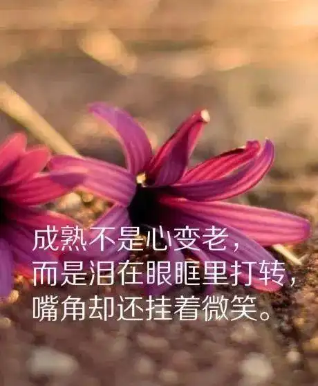 一年匆匆而过感言(匆匆而过又是一年感悟)