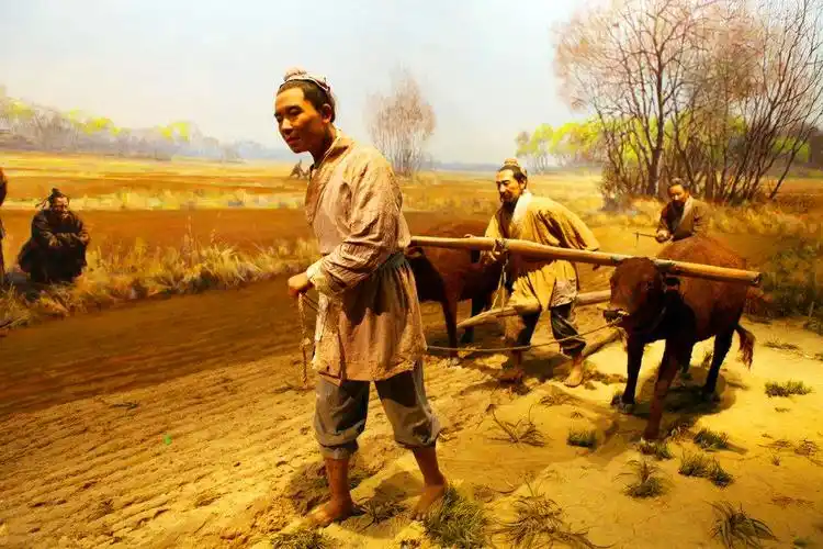 古代农民为何不开荒种地而给地主打工分析原因才知农民不容易