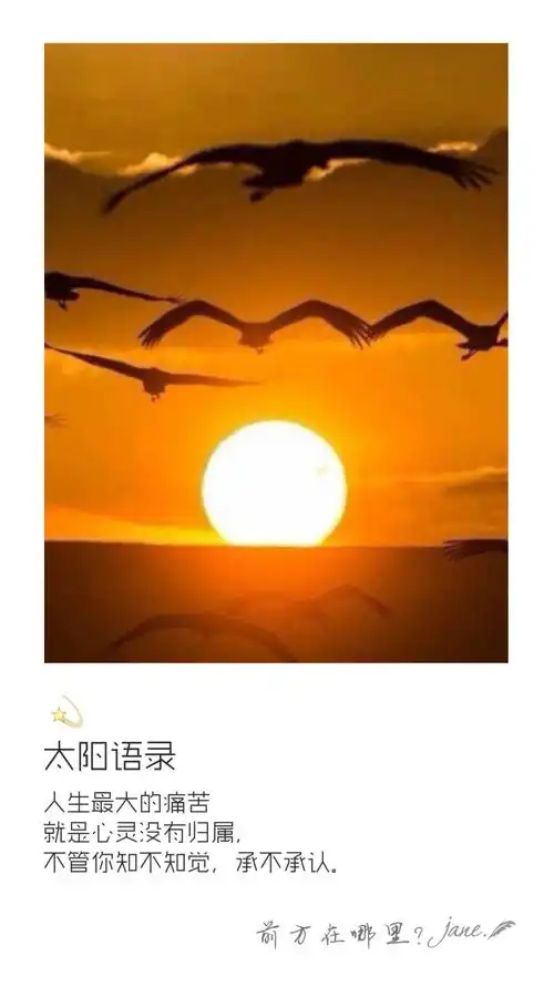 太阳语录2014.11.07