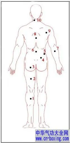男人全身痣详解(背面)
