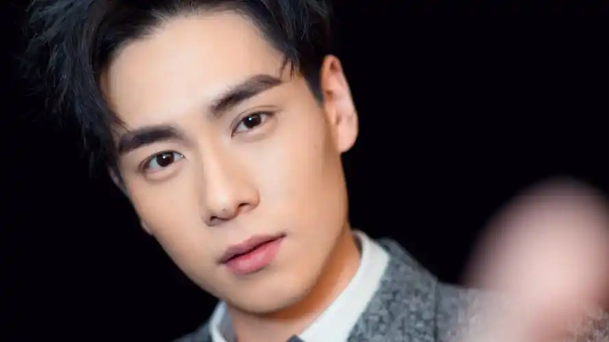 内地明星胡一天明星风尚壁纸1