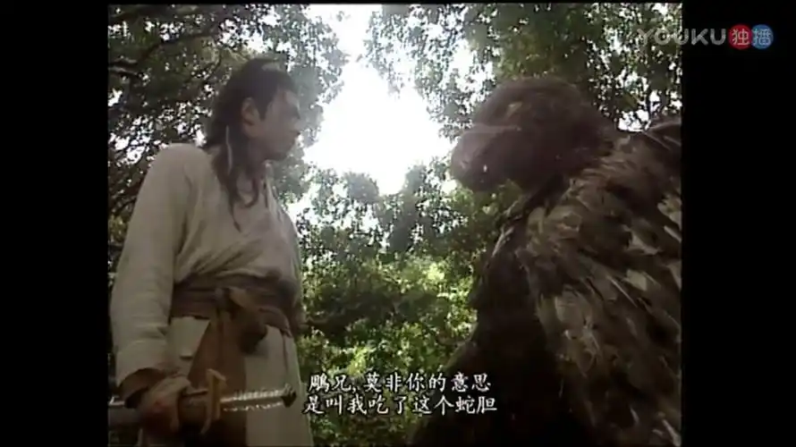 冲着这十道菜忍不住翻一遍神雕侠侣