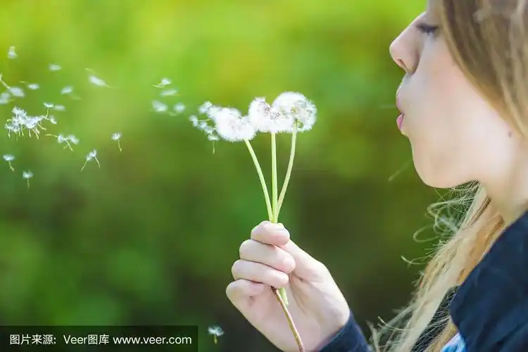 一个快乐的年轻金发女人吹蒲公英的特写