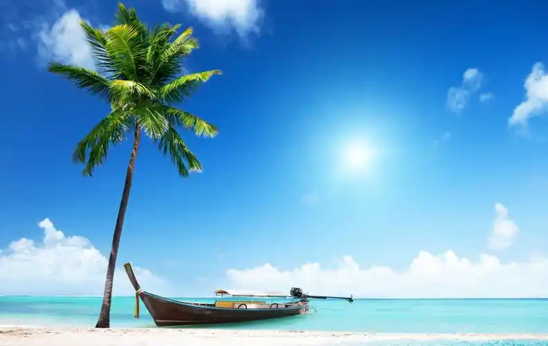 沙滩 阳光 棕榈树 海滩 船 夏季 岛屿 海洋 热带天堂4k图片,4k高清