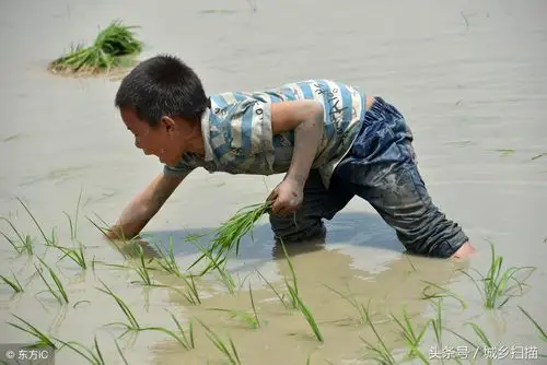 钱重要还是孩子重要10幅图直击农村留守儿童生活多陪陪孩子吧