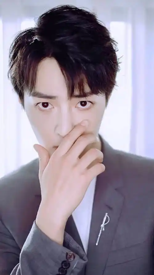 肖战灰色西装帅气写真 肖战个人资料图片