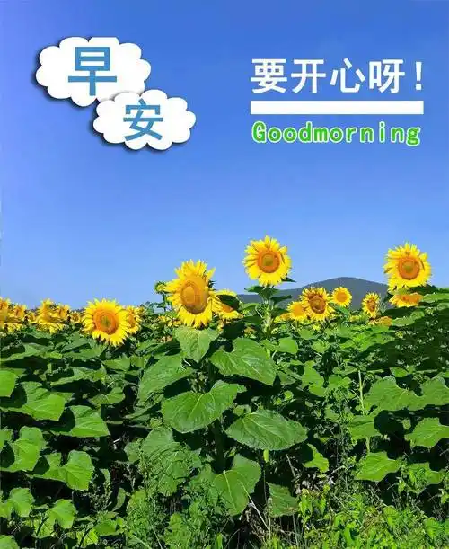 早安带字动态图片 祝早安的图片唯美动图