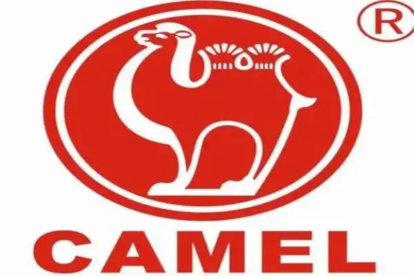 骆驼牌蓄电池加盟