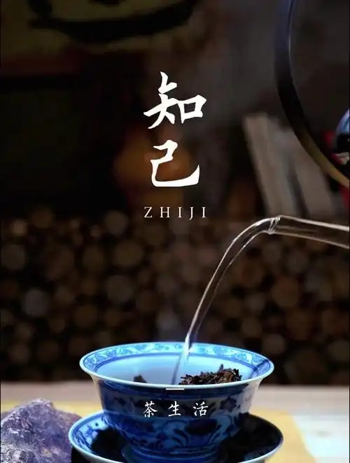 一茶一书一知己,一朝一暮一人生!