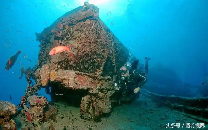 探秘二战被炸沉的英国蓝蓟花号沉船大量完好军车躺在海底