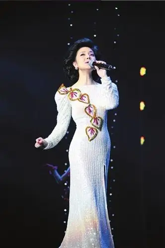 2016 邓丽君3d巡回演唱会—上海站