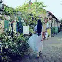 微信背影风景或花草_微信头像图片大全