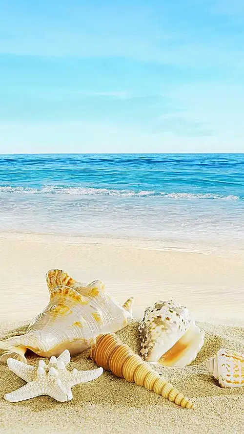蓝色大海贝壳h5背景