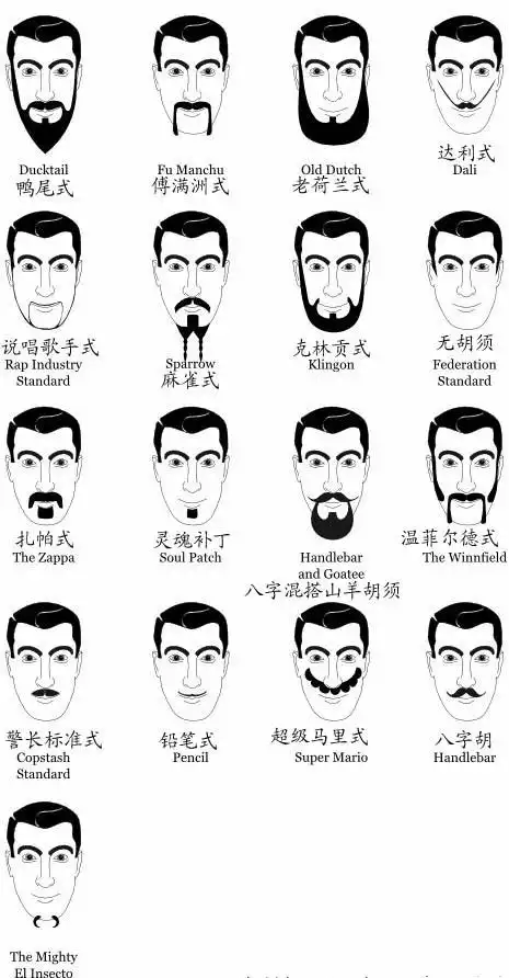 蓄须时代回归 男士潮流胡型