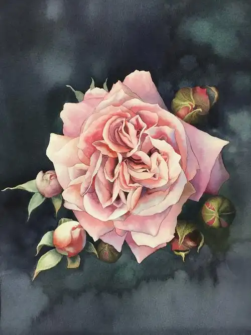 花花世界(水彩玫瑰花)|纯艺术|绘画|黄有维水彩_原创作品-站酷zcool