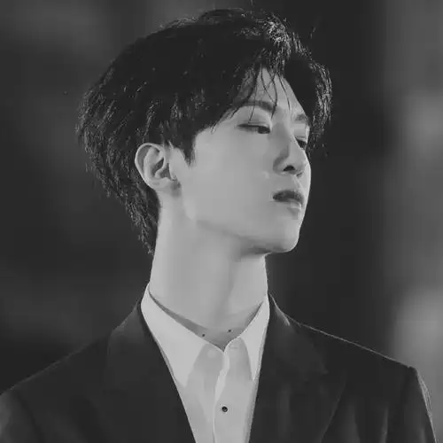 黑白爱豆头/by哭