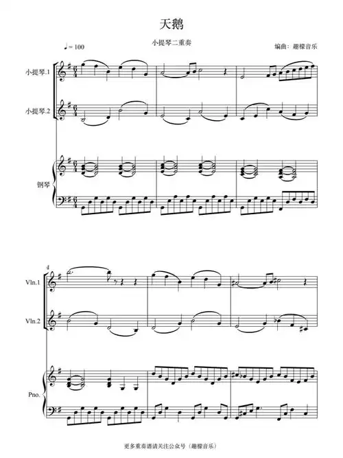 《天鹅》小提琴二重奏