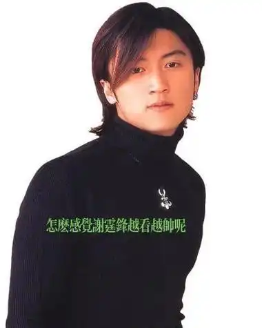 年轻时候的谢霆锋,评论区说说你是通过哪部作品哪个角色或是哪首 - 抖