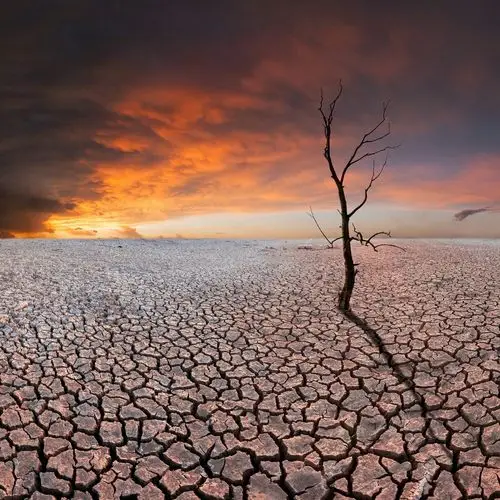 有些地方因为缺水而导致干旱