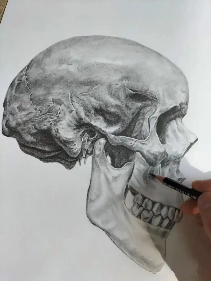 素描骷髅头.#素描 #骷髅 #一起学画画 #手绘 #画画 - 抖音