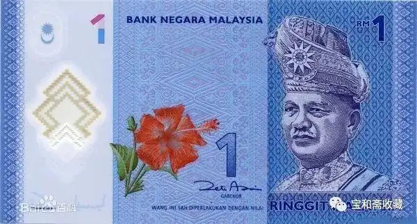 世界流通货币亚洲马来西亚017马来西亚令吉
