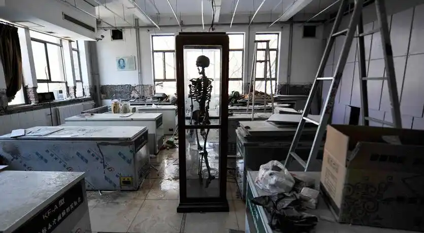 济南铺路渣土现大量高校遗漏尸块标本