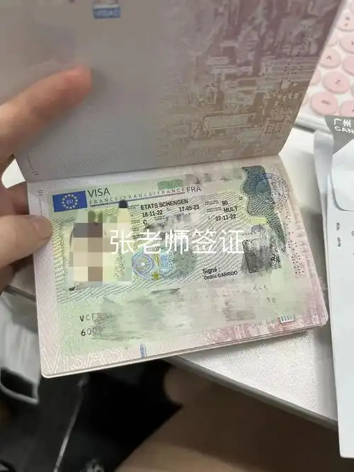 法国旅游签证顺利出签