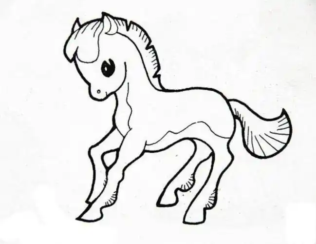 用简笔画画一匹马