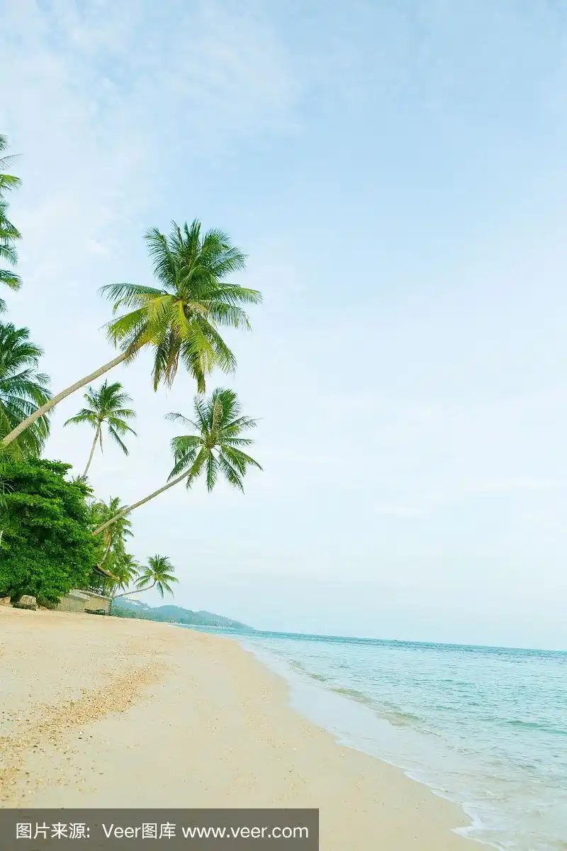 800_1200竖版 竖屏