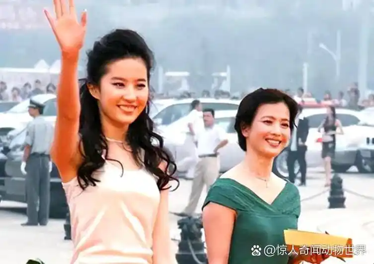 刘亦菲自称是"全家最丑",母女关系感人至深 刘亦菲和刘晓莉的母女关系