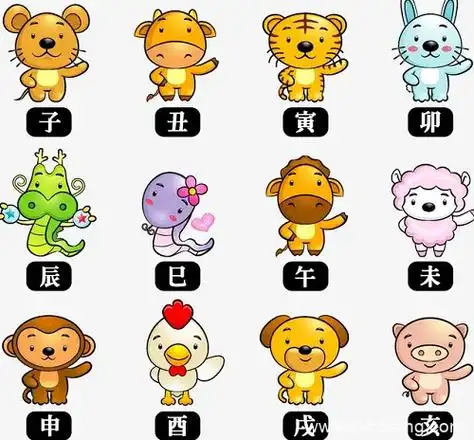 上榜十二生肖排名表格 12生肖排行榜12生肖排行表图
