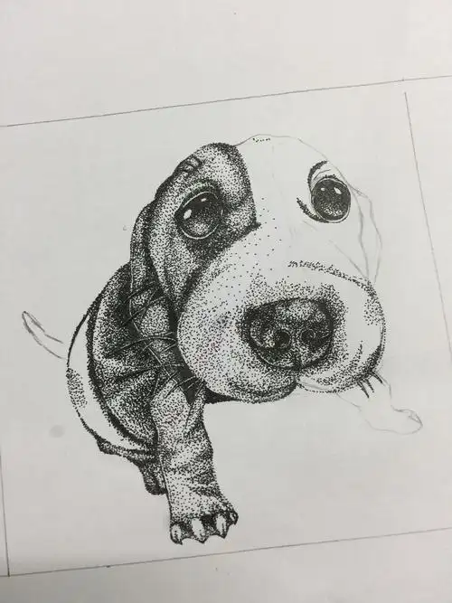 点绘一只小狗狗|插画|其他插画|夏耳朵summer - 原创作品 - 站酷