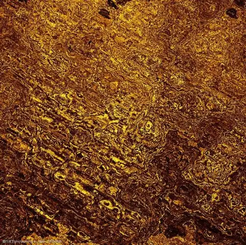 黄金色底纹图片