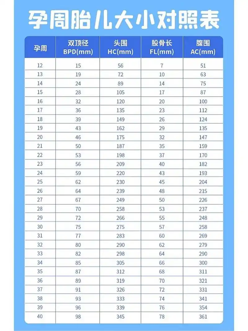 孕周胎儿大小对照表 根据表格,宝妈们可以看看孕周宝宝正常的头围