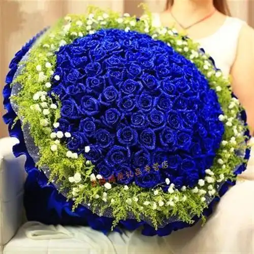 蓝玫瑰鲜花99朵蓝色妖姬无锡合肥南昌长沙厦门南宁成都福州西安昆明