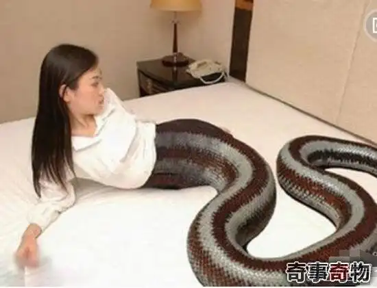 揭秘人头蛇身怪物之谜人的脑袋蛇的身体被巫师控制